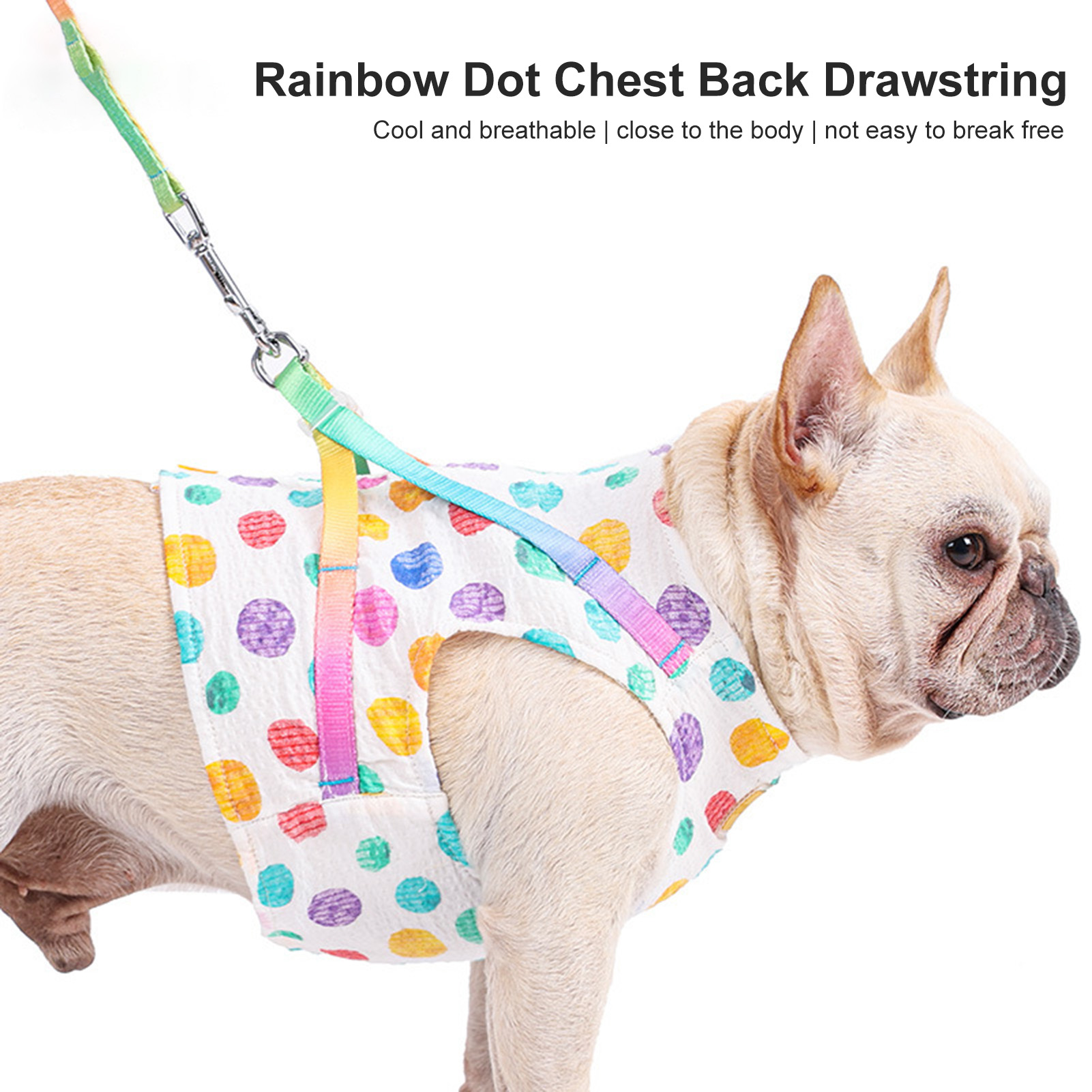 pretty dog accessories